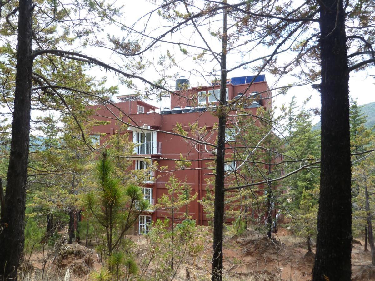 Hotel Gold El Oro de Hidalgo Kültér fotó